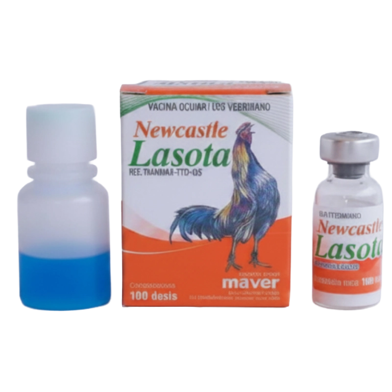 Lasotha Newcastle Virus Vivo Lasota 100 ds